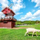 자석목장 이미지