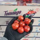 💕하우스 햇 자두 🌽초당옥수수 🥭태국시암 골드망고 🍒 생체리 🍊 만다린감귤 🫐 국산 블루베리 🍋 성주 용암참외 🍉흑수박 이미지