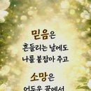 오늘은좋은날 티스토리