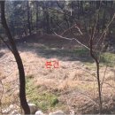 수일농장 이미지