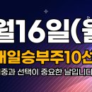 신화티이씨