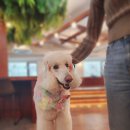 지 동물병원 이미지