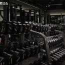 보스휘트니스 이미지