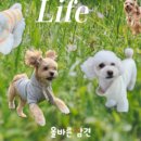 올바른 참견 이미지