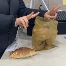 까투리 대박점 이미지