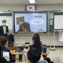 성성초 이미지
