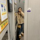 ɴᴏᴠ. 결혼식 전 날까지의 일상 ʚ🕊️⛲️ɞ
