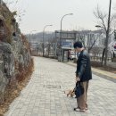 3월 일상 / 그냥 걸었어 종로편