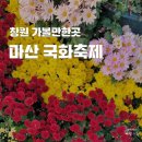 상생투제이 사랑과 세상 (창원)-KBS 울산편도 있읍니다. 이미지