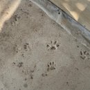 다뽑아가라 이미지