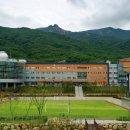 부산과학고등학교 이미지