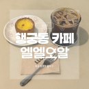 행궁동 애견동반 카페 엘엘오알 LLOR 행리단길 데이트~!