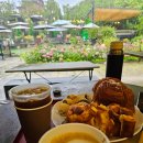 칸트하우스 | 양평 칸트 하우스에서 만난 비둘기