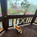 송우펜션 이미지