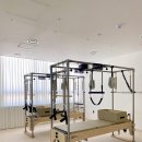 화이트애플 이미지