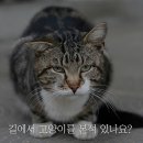 오마어린이공원 이미지