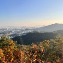 메이트짐 이미지