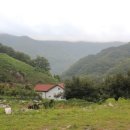 다우리팬션 이미지