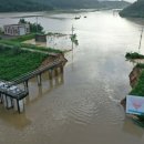 남천제방 이미지