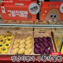 수원역 AK푸드홀 구황작물빵 정남미명과 팝업스토어 강원도 명물 감자빵을 만날 수 있어요! (운영기간과...