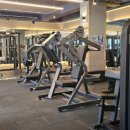 고릴라 GYM 백석대점 이미지