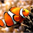 삶이 예술이 되는 수채화 이미지