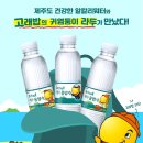 오리온농장 아이뉴스24