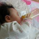 수유 이미지