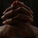 애플김밥 이미지