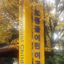 보등골어린이공원 네이버블로그