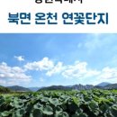 천주로1184번길 이미지