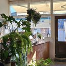 숯불무궁화갈비 | (25.12.15) 번개 나들이 _ 김천 아포읍 (동의보감숯불갈비, The house 113)