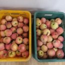 규순농장 이미지