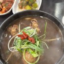 초애삼계탕마곡점 | 사용되는 초복 중복 말복 몸보신 장뇌 능이 삼계탕 백숙 맛집 : 초애삼계탕 마곡점 (3번째 또간집)