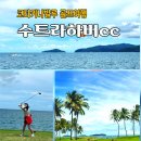 하버 | 코타키나발루 골프여행 수트라하버cc 리얼후기 코스 숙소 라운드팁