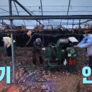 인처골마을 이미지