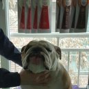 비에이비 이미지