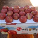 월곡농장 이미지