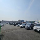 경산 자인비소-3 | ​[경산 수구레 맛집] 자인시장 수구레국밥의 원조? 자인골원조수구레국밥 내돈내산 솔직 후기