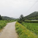 하도치회관 이미지