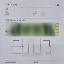 아리안경콘텍트(원주혁신점) | [원주 혁신도시 안경제작기] 펜탁스 스마트 어드밴스 누진다초점렌즈