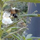 천하촌펜션 이미지