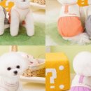 코코앤그레이 이미지