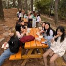 위너태권도 이미지