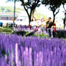 함평향교 이미지