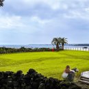 다녀올개 이미지