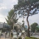 사당역 12번 출구 앞 이미지