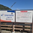 미숭산자연휴양림 | 경북 고령 미숭산 자연휴양림 : 자작나무♡