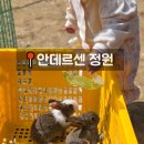 일표농장 | 남양주 체험농장 추천, 아이랑 봄나들이하기 좋은 안데르센정원 다녀온 후기