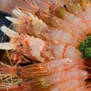 독도어부 이미지